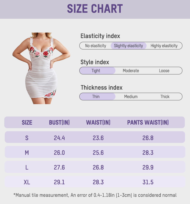Sheer Mesh Lace Embroidered Babydoll Dress